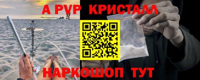 индика Усть-Джегута