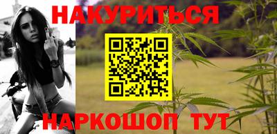 индика Усть-Джегута