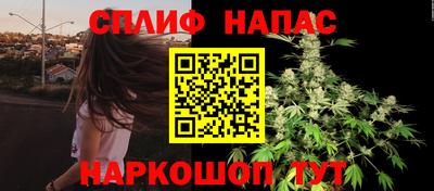индика Усть-Джегута
