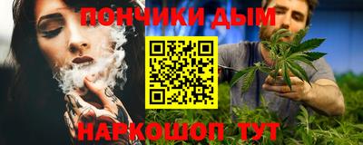 индика Усть-Джегута