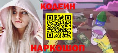 индика Усть-Джегута